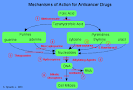 Drugs - Anti-