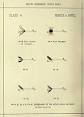 Fly tying - Wikipedia, the free encyclopedia