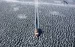 Earth From Above comes to NYC - The Big Picture - Boston.