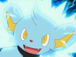 http://t3.gstatic.com/images?q=tbn:ANd9GcRSngOiM0hGJz59LmGUollCiu0CVZHHJdI6oY3BkDnzfmWSnSa0Tw
