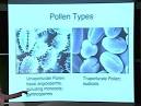 History of Plant Systematics