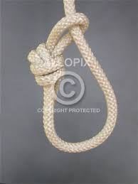 http://t3.gstatic.com/images?q=tbn:ANd9GcRTMhbKbxBwQtDK7j5-iBiCvkApXeeQs1QCHcXgkXfdiIX2_aDv_A