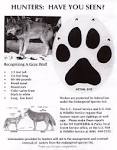 Western Gray Wolf: U.S. Fish and Wildlife Service