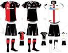 picture of Los Zorros dan a conocer su nuevo uniforme para el Apertura 2008  images wallpaper