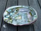 From Abalone Shell to Powerful Battery Angela Belcher [Video ... 