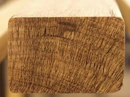 external image images?q=tbn:ANd9GcRTmvr3rUbm0oxjNK50_CCu3HFrfPR-3xC0PyWTlQeLjwHfJFGpwQ