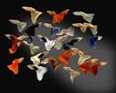Guppy | Keeping Tropical Fish