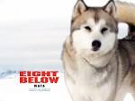 Eight Below maya picture, Eight Below maya photo, Eight Below maya ...