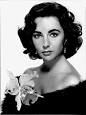 Elizabeth Taylor - Wikipedia