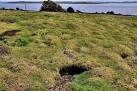 Rabbit burrows, Lighthouse - via Daymix