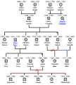 The Eleven Essential Features of Sound Genealogy Software - GenoPro
