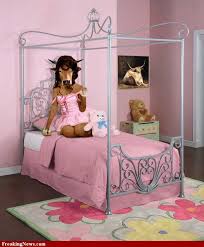 Twin bedroom ideas Photo - 13: Beautiful Pictures of Design ...