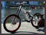 06 NORCO Team DH