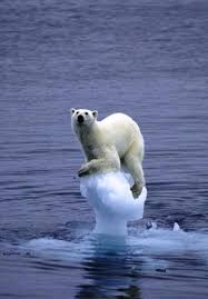 http://t3.gstatic.com/images?q=tbn:ANd9GcRUuYGCzzeOlJw2vCAL11H-5lfK5CMcHu4W-Pnf3b2-YsSInIWw