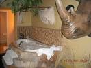Photos of Chateau Avalon, Kansas City - Hotel Images - TripAdvisor