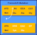 youngbloodbiology - <b>Mutation</b>