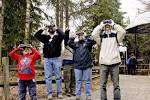 Group of people look through - via Daymix