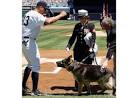 Famous military dog doesn't like A-Rod (VIDEO) | Big League Stew ...