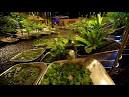 Sporegardenfestival
