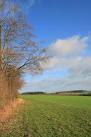 SU5836 : Farmland south of Spy Bush Plantation, nr Swarraton - via Daymix