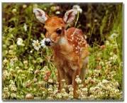 images?qtbnANd9GcRViD p4SRtJKIR9V2bI kyatr9Hv6t5i3AZr ZN 2XEtu4wkrG vWl3G X