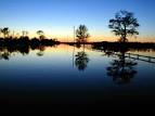 Greenville: North Carolina Hurricane Floyd & Irene (DR-1292