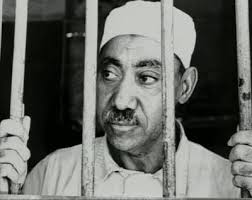 Seyid kutup
