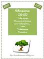 Fichier sciences (CP)/CE1/CE2 - Le cartable de Séverine