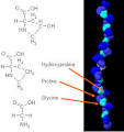 chempolymerproject - Collagen - B- rgam