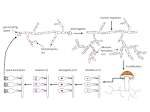 James Lab Research Projects