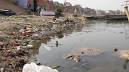 Will Ganga be cleaned in this century or not? SC asks Centre | The.
