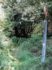 Jacob's Post. The metal bird attached to the top of the post has the date - via Daymix
