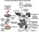 The polarized light <b>microscope</b>