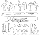 how to draw a criket