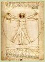 The Art in Science: Who the heck is The Vitruvian Man?
