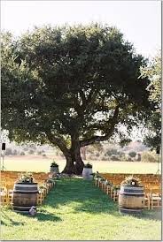 Help! I'm not allowed to decorate the tree we want to get married under! :  wedding decor outdoor ceremony help 1 tree dilemma Images?q=tbn:ANd9GcRX6tAeF507WDa1bRT9nPloXJ3sEAi 6tNIhSLZ31JYsVQZCkLM