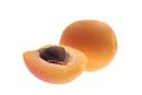 Apricot Kernel Oil (Prunus Armeniaca). | Product Catalogue | Avena