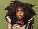 Erykah Badu | The Owl Mag