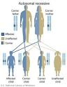 Autosomal recessive - Genetics Home Reference