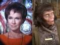 Kim Hunter