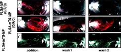 http://t3.gstatic.com/images?q=tbn:ANd9GcRYNd1XabBIqfge23M5j4bvQJZTS8PjYOTiCsz7nJGL6Wj0TYv5maJWVQqF