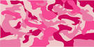 http://www.powersportswraps.com/pwrblog/wp-content/uploads/2008/03/pink-camo-cam-144-pco.jpg
