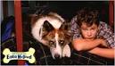 Ai-yo - 90sjamz: 100 Deeds for Eddie McDowd. Invested...