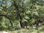 Fremont Ford State Park, a California State Park located nearby ...