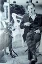 Dobermann Pictures from 1980's