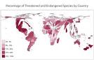 Visualizing AmphibiaWeb Data with Continuous Cartograms