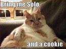 http://icanhascheezburger.files.wordpress.com/2008/03/funny-pictures-orange-jabba-cat.jpg