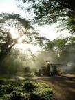 NSS : a.t.Bukit Brown. Heritage. Habitat. History.