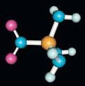 Chemical Structure-Activity Relationships | Capabilities | Exponent