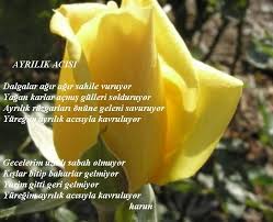 images?qtbnANd9GcRZ8eHS P jp2FKQSE0PWVDDz8E8Fdm0ndl9ZxVUoA9CYpBA o 